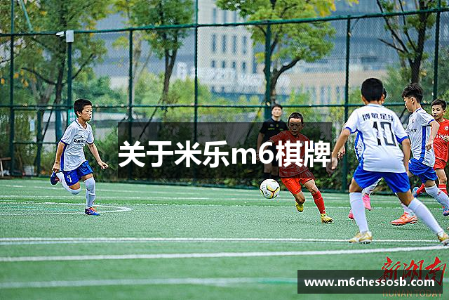 关于米乐m6棋牌